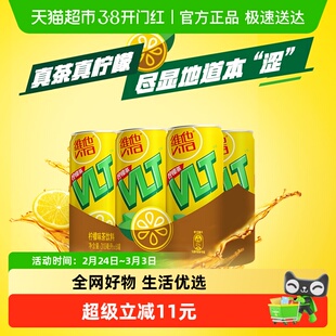 维他柠檬茶Vita饮料罐装柠檬茶310ml*6罐