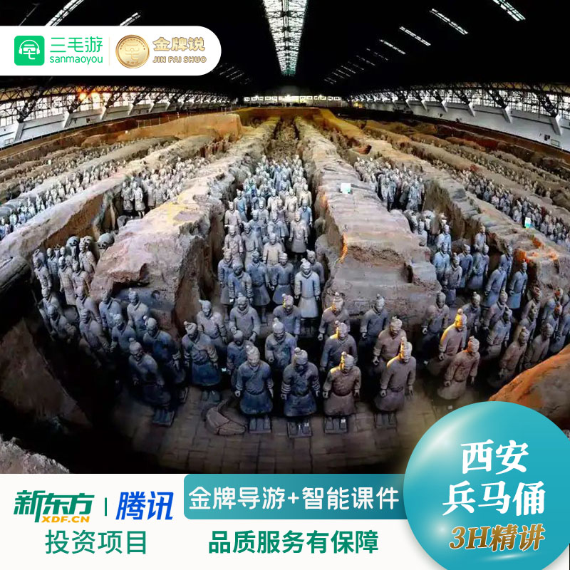 三毛游◆秦始皇兵马俑3H金牌导游讲解12人小团大咖解说研学可包团