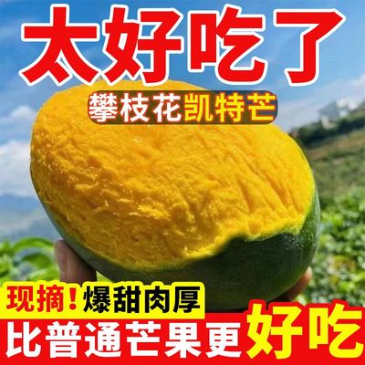 四川攀枝花凯特芒果新鲜应季水果芒果整箱包邮特大青芒果非5-10斤