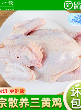 冷冻三黄鸡农家散养走地鸡整只新鲜现杀白条鸡童子鸡顺丰包邮