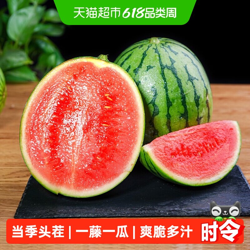 小糖丸西瓜新鲜手撕薄皮冰淇淋西瓜当季时令水果整箱超甜