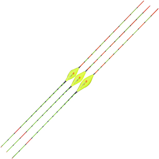 纳米浮漂灵敏度高鱼漂阴晴两用双尾漂鲫鲤鲢鳙漂大物漂野钓黑坑漂