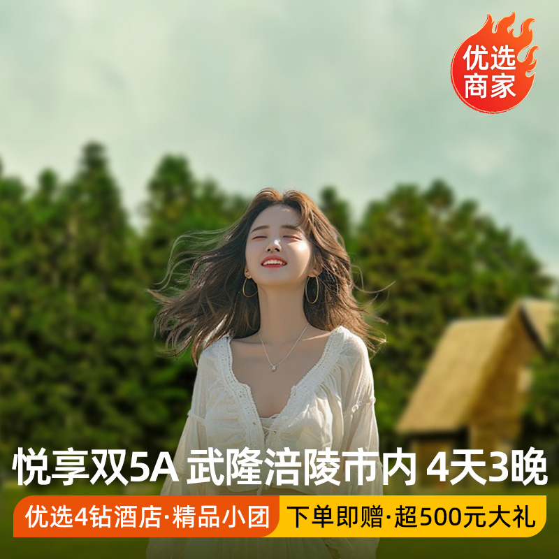 直升机体验重庆旅游跟团4天3晚8人小团武隆天生三桥仙女山大裂谷