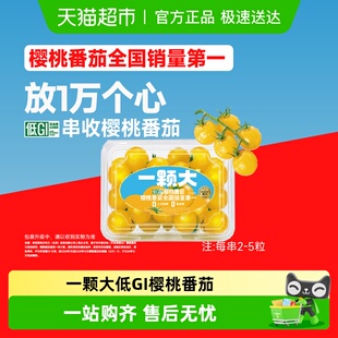 串收樱桃黄番茄小串酸甜多汁新鲜采摘基地直发 一颗大