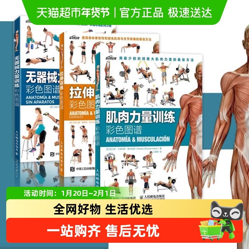 肌肉力量训练彩色图谱拉伸训练无器械力量训练运动健身书籍3册,书籍/杂志/报纸,体育运动(新),淘宝优惠券,粉丝福利购,淘宝优惠卷