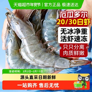 厄瓜多尔白虾大虾鲜活速冻盐冻2030南美白虾基围虾海虾