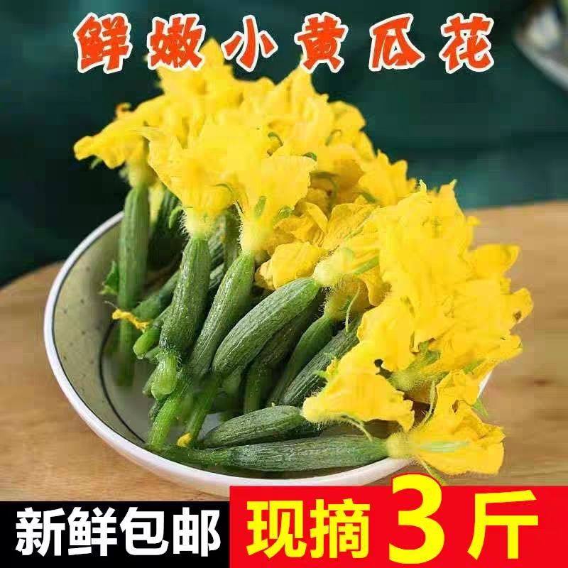 新鲜小黄瓜花包邮青瓜花特菜小嫩水果黄瓜顶花西餐厅生吃顺丰,水产肉类/新鲜蔬果/熟食,黄瓜,淘宝优惠券,粉丝福利购,淘宝优惠卷