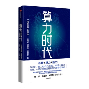 算力时代 一场新的产业革命 王晓云等著  数据是新的生产资料