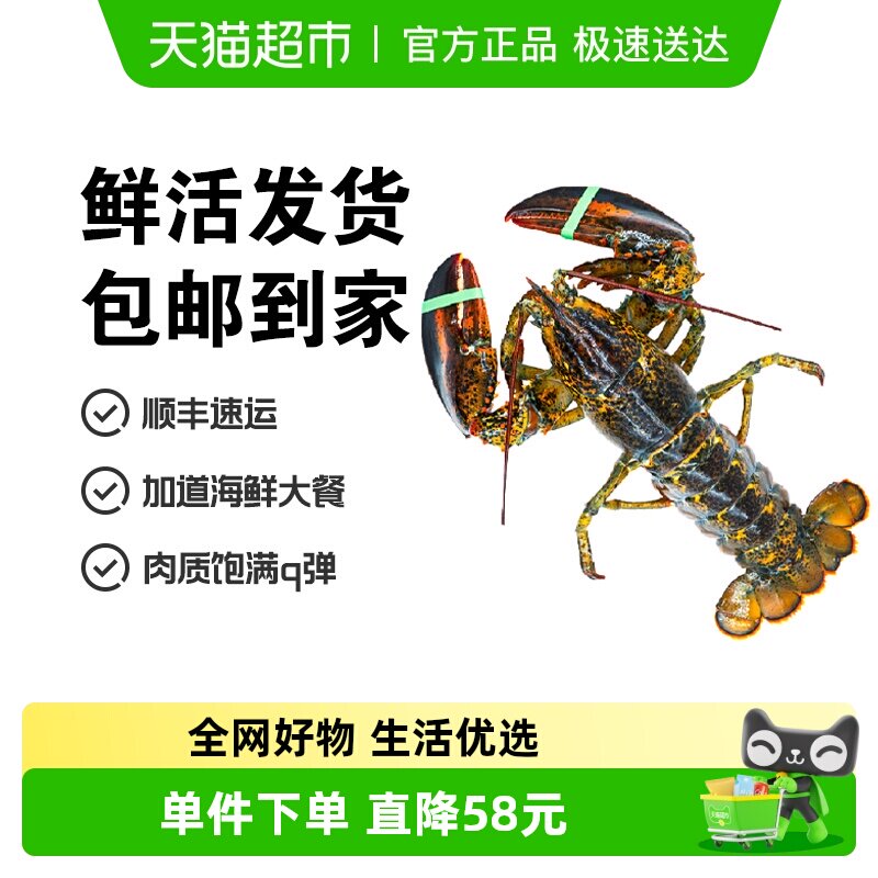 �洫��������ҡ� ���ô�ʿ�ٴ���Ϻ450-500g*1ֻ���� 197.6Ԫ