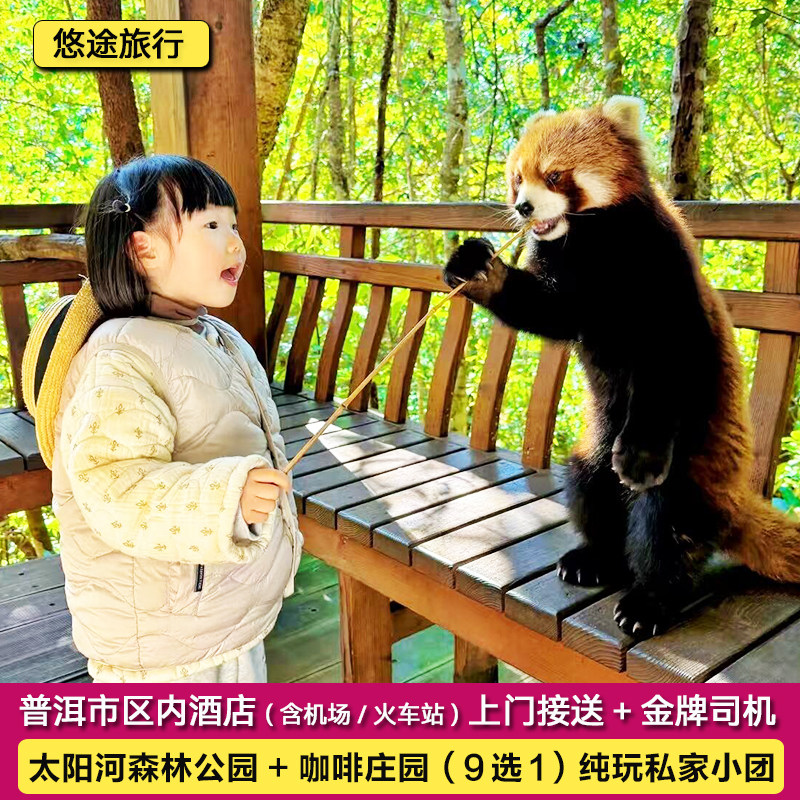 普洱出发 太阳河森林公园（含套票）+咖啡庄园（可选）纯玩一日游