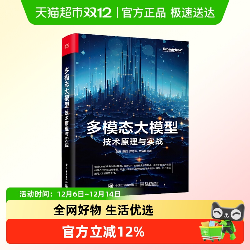 多模态大模型 技术原理与实战