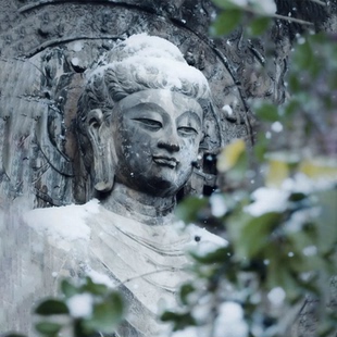 洛阳市区一日游 |白马寺+洛阳博物馆 +龙门石窟