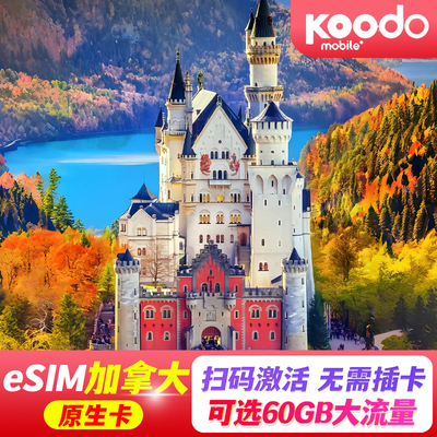 【eSIM】加拿大esim电话卡高速流量上网5-30天多伦多旅游含通话