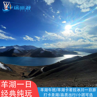 羊湖卡若拉冰川一日游西藏旅游拉萨纯玩羊卓雍措+冰川跟团1日纯玩