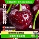 智利进口车厘子礼盒大樱桃jjj整箱原箱装 孕妇 新鲜水果时令当季