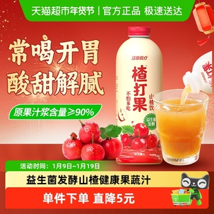 江中食疗楂打果山楂汁饮品儿童健康果蔬汁小孩酸甜饮料单瓶1L装