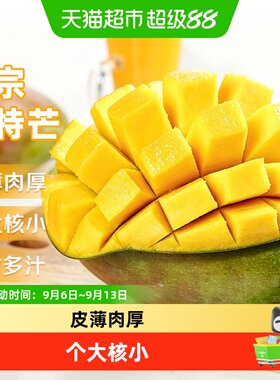 京运达正宗云南凯特芒