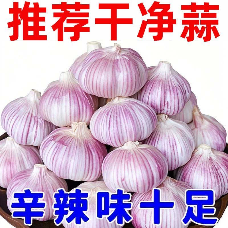 2025新鲜农家饱满紫白皮干蒜大蒜头大蒜农家紫皮大蒜