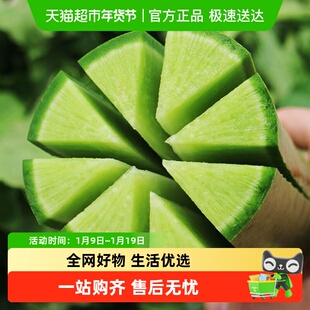 沙窝水果萝卜甜脆水果型青萝卜新鲜蔬菜生吃即食