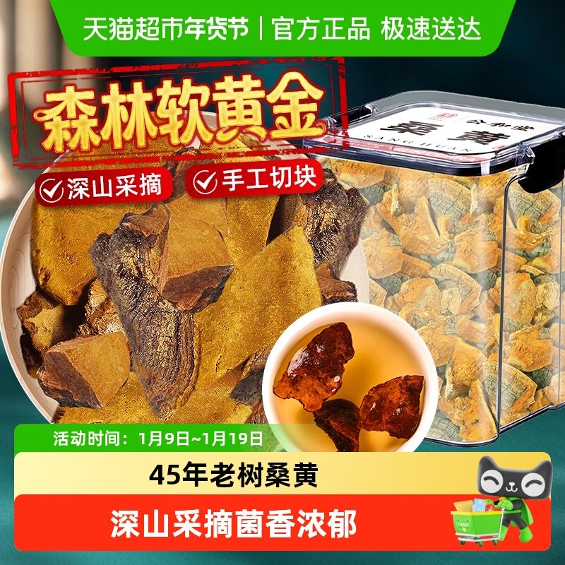 桑黄中草药材西藏野外生45年搭长白山灵芝片打粉泡水