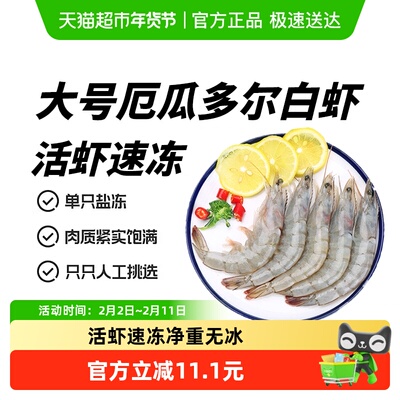 厄瓜多尔速冻大白虾