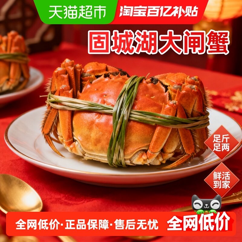 渔传播固城湖大闸蟹礼盒