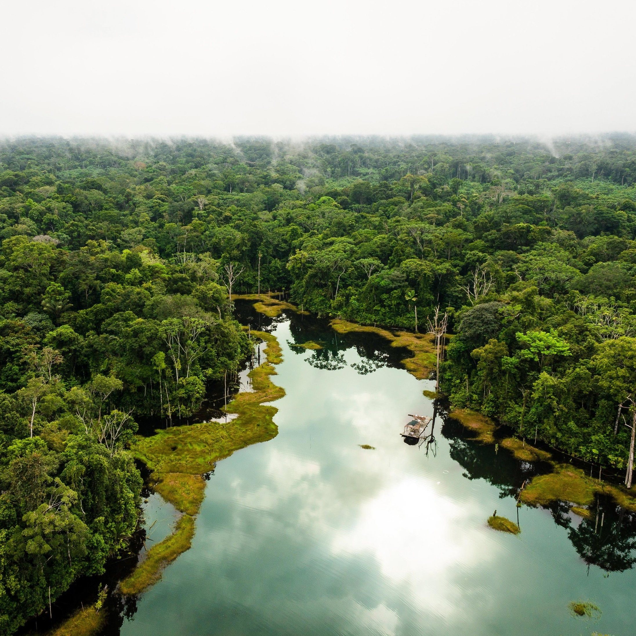巴西 亚马逊丛林 2天1晚 (生存体验 雨林风光)