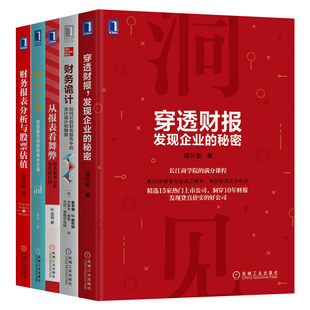 穿透财报+从报表看舞弊+财务诡计+财务分析+财务报表分析与股票估值 共五本 财报分析 财务舞弊风险识别方法 财务报表教程书籍