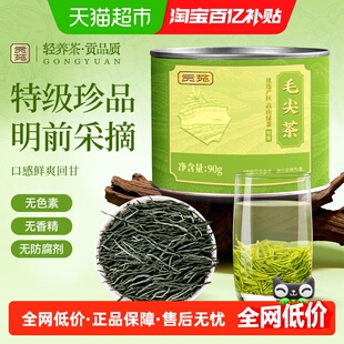 贡苑特级毛尖茶绿茶明前信阳原产茶叶浓香口粮茶碧螺春茶2025新茶