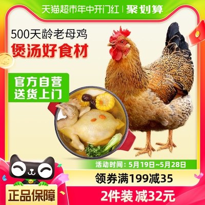 温氏食品土鸡散养慢养鸡肉1.2kg