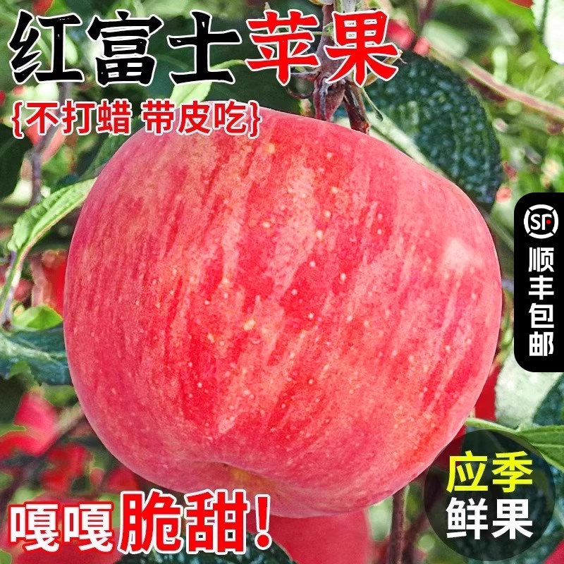 苹果新鲜水果山东烟台红富士苹果现摘当季整箱应季冰糖心苹果