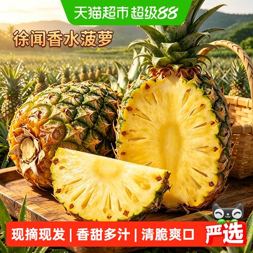 我有果果徐闻香水菠萝清甜