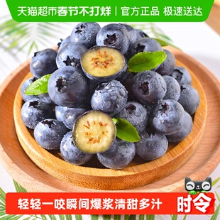 云南高原花香蓝莓新鲜水果当季整箱鲜果现摘