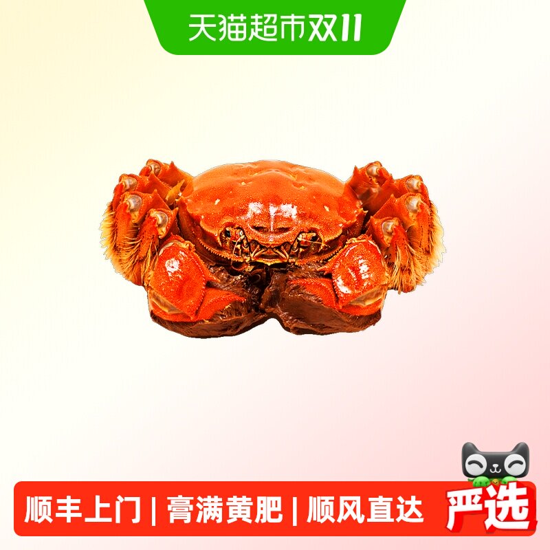 阳澄格调大闸蟹鲜活螃蟹