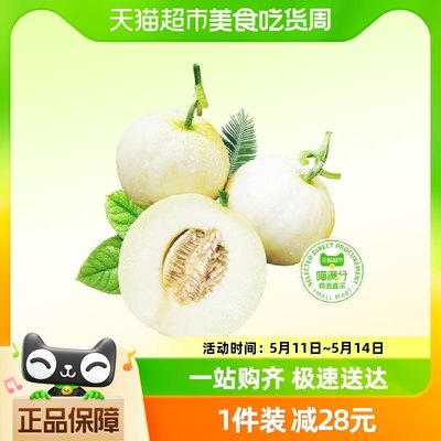 【蜜蜂欢乐社】喵满分陕西阎良甜瓜4.5斤单果350g+整箱包邮