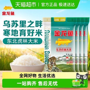 4共20公斤整箱装 下拉详情页享特价 金龙鱼东北虎林大米5KG