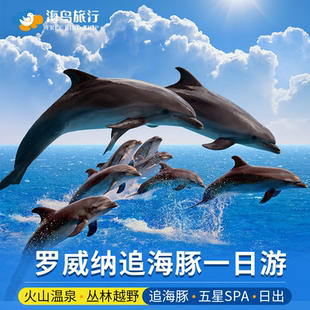 巴厘岛罗威纳追海豚看日出火山温泉越野车漂流滑翔伞spa一日游