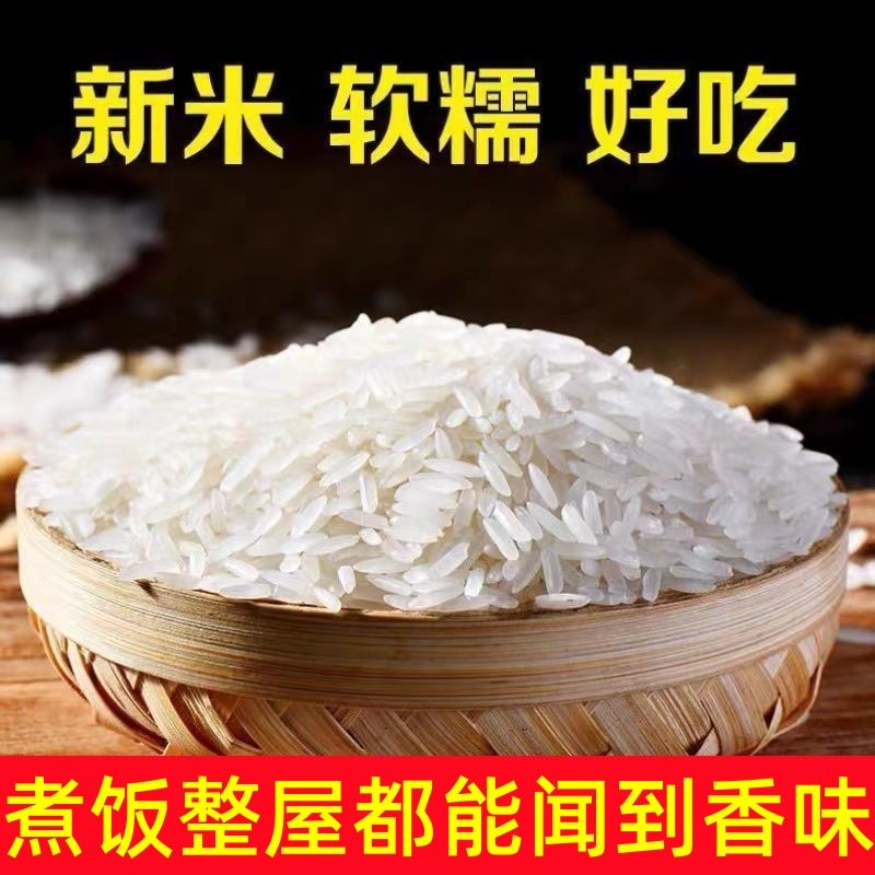 贵州梯田大米常粒香米10斤