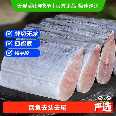 海仙部落带鱼刀鱼中段特级小眼