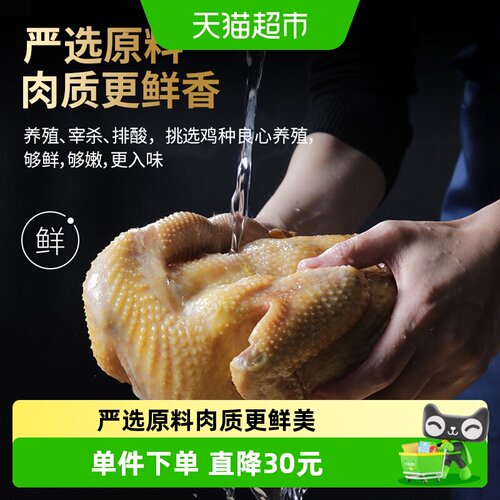 乡盛五香鸡扒鸡450g×2只