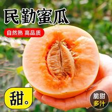 正宗甘肃民勤黄金蜜瓜当季新鲜水果整箱脆甜包邮网纹金蜜瓜