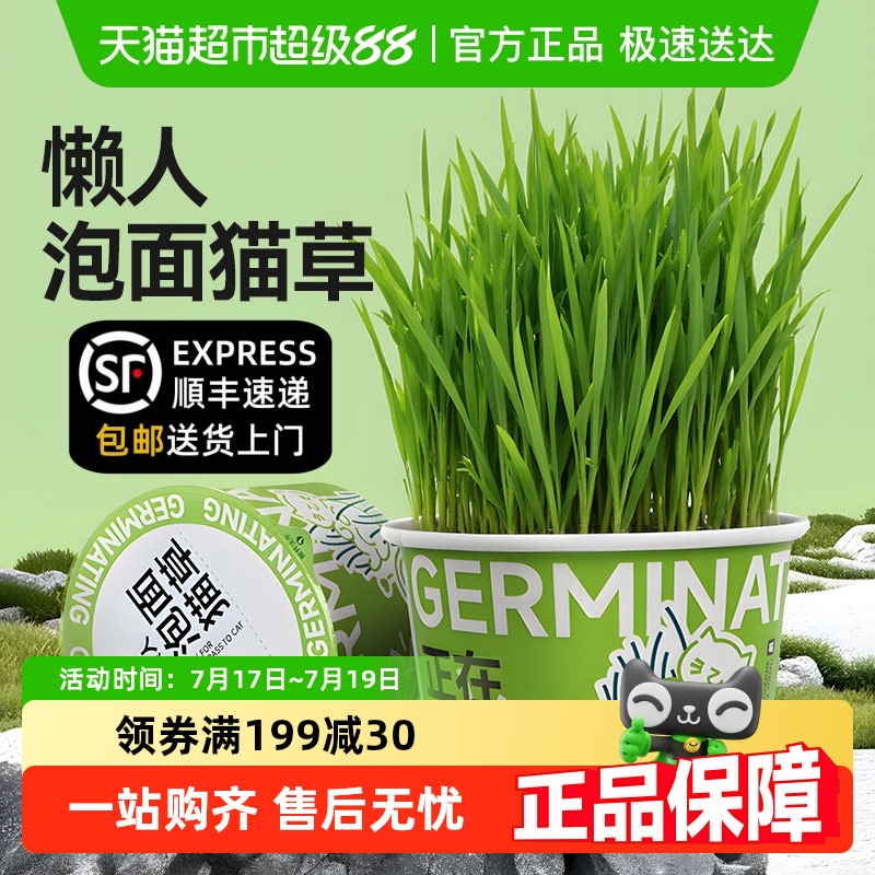 柒哦懒人自种水培猫草片猫咪零食