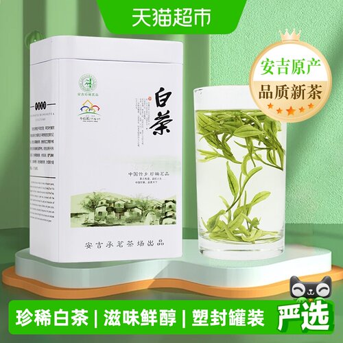 承艺茗茶安吉珍稀白茶核心产区