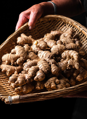 正宗云南本地小黄姜新鲜蔬菜沙姜干姜仔姜嫩姜鲜姜大姜老姜老生姜