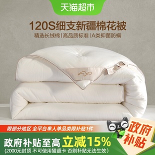 水星家纺120支轻奢棉花被子A类抑菌四季 被冬被保暖被芯床品25新品