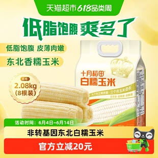 十月稻田非转基因东北白糯玉米低脂早餐