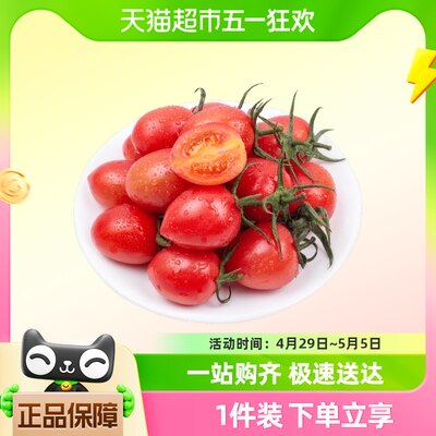 小番茄西红柿水果2.5Kg*1盒