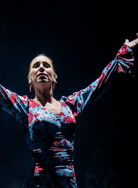 塞维利亚弗拉明戈舞表演 Tablao Flamenco La Setas