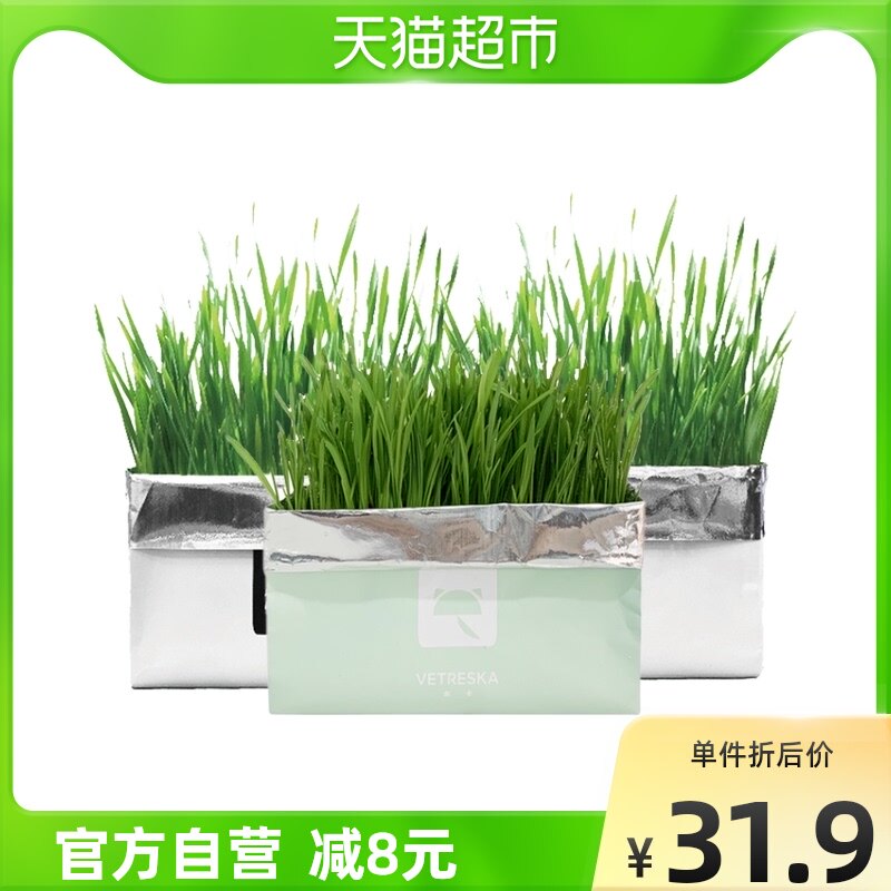 未卡去毛球无土壤水培种植猫草猫零食燕麦草狗尾巴草3包组合装