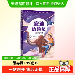 天空岛奇遇 安迪历险记